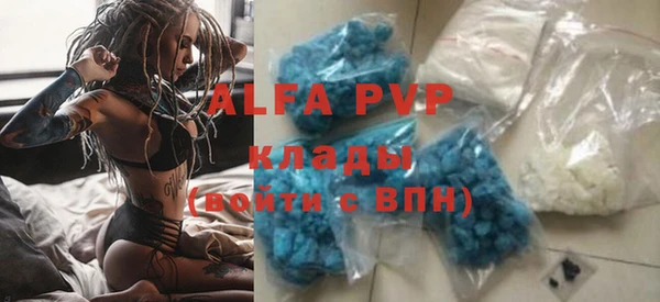 индика Бугульма