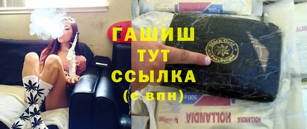 индика Бугульма