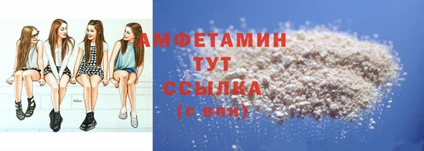 индика Бугульма
