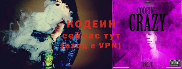 индика Бугульма