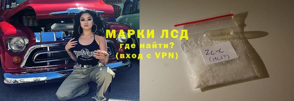 индика Бугульма