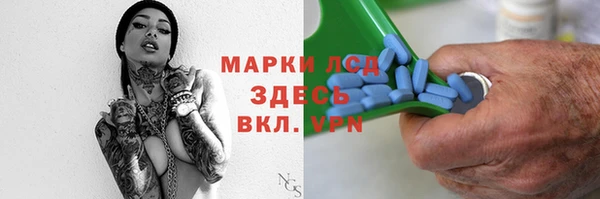 индика Бугульма