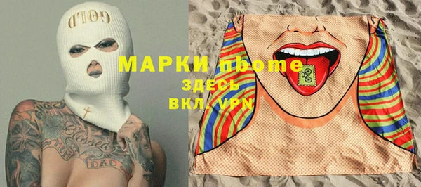 индика Бугульма