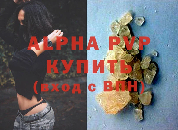 индика Бугульма
