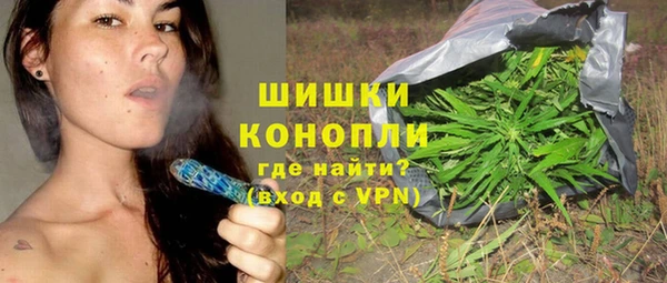 индика Бугульма