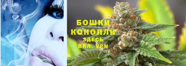 индика Бугульма