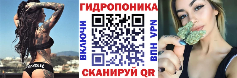 сайты даркнета состав  даркнет сайт  Валдай  Бошки Шишки план  МЕГА зеркало 